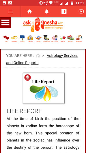 Life Report